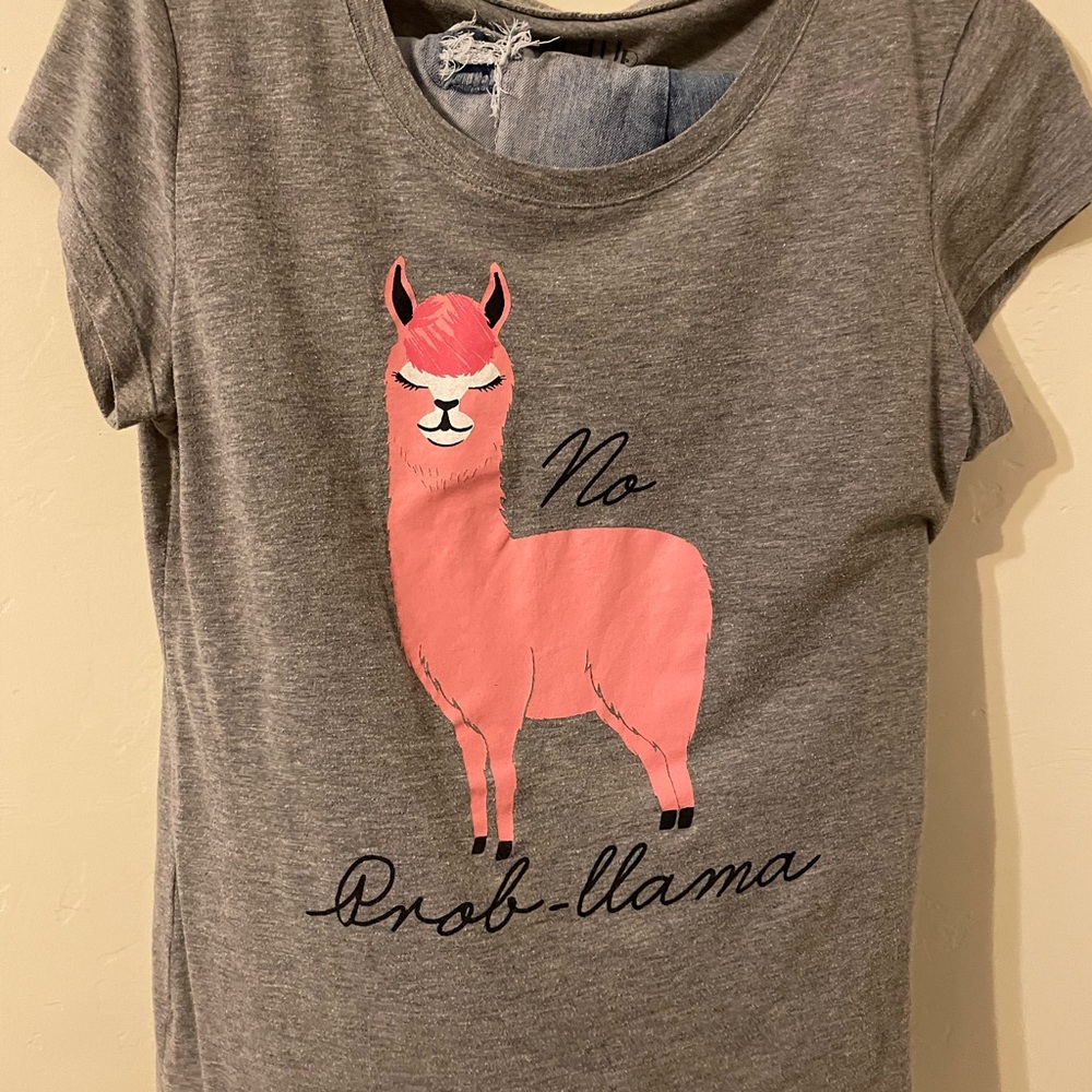 No probllama shirt